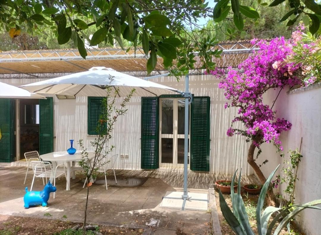 Casa Azzurra Villa คอนคา สเปกคิอุลลา ภายนอก รูปภาพ